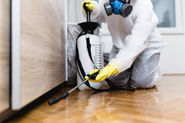 Reliable Grand Saline, TX Pest Control Solutions