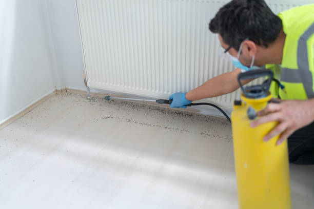 Best Commercial Pest Control Services  in Grand Saline, TX