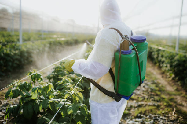 Best Emergency Pest Control  in Grand Saline, TX
